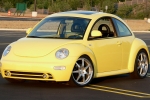 BEETLE (1C/9C/1Y)