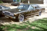 LAUREL (HLC230)